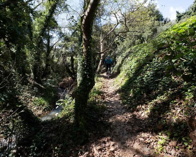 Chania: Electric Mountain Bike Tour - Key Points