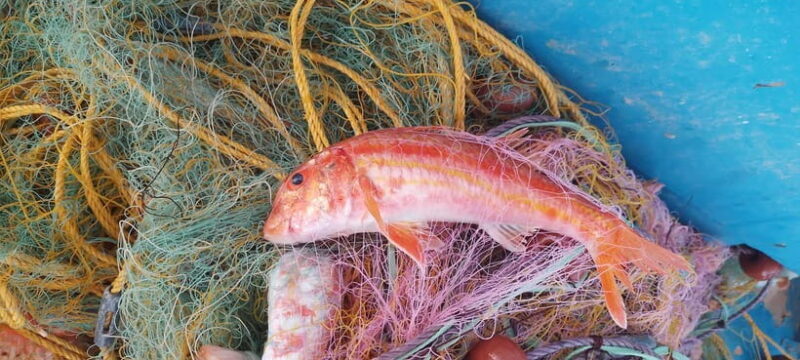 Chania Fishing with Nets: Catch&Cook with a Local Fisherman - An Authentic Day on Crete’s Coastline