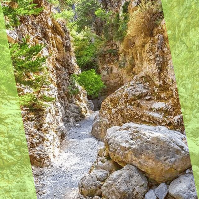 Chania : Imbros Gorge Superb Hiking Tour - FAQ