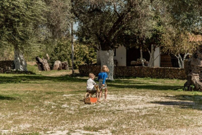 Chania Luxuries: Secrets of Wine and Olive Oil Tastings - Chania Luxuries: Secrets of Wine and Olive Oil Tastings — An Authentic Crete Experience
