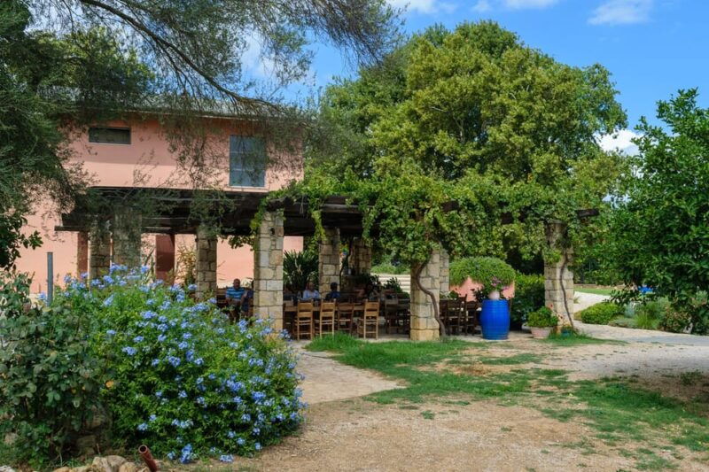 chania-mystery-trip-with-hidden-gems-local-flavors