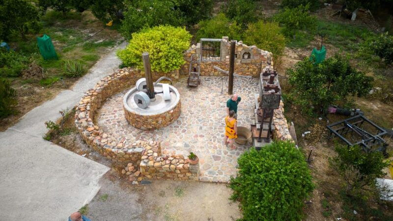 chania-mystery-trip-with-hidden-gems-local-flavors