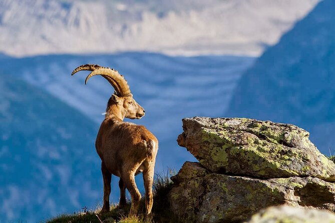 chania-nature-villages-white-mountains-unique-cretan-lunch-2