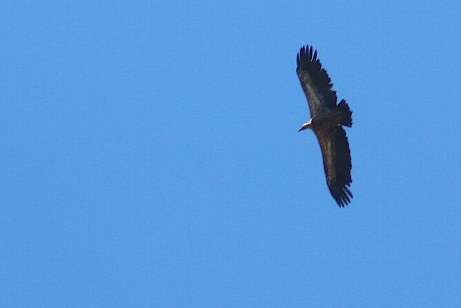 chania-nature-villages-white-mountains-unique-cretan-lunch-2