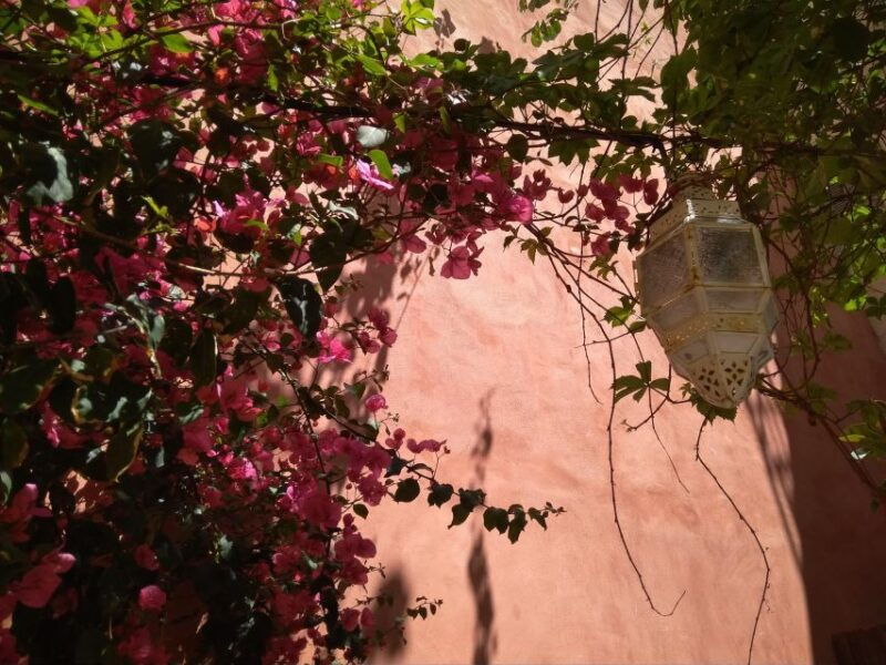 chania-old-town-vegan-food-sightseeing-walking-tour