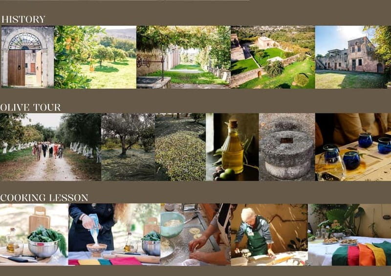 Chania: Olive Oil Tasting & Cooking Class at Metohi Istoria - Why the tasting and cooking experience matter
