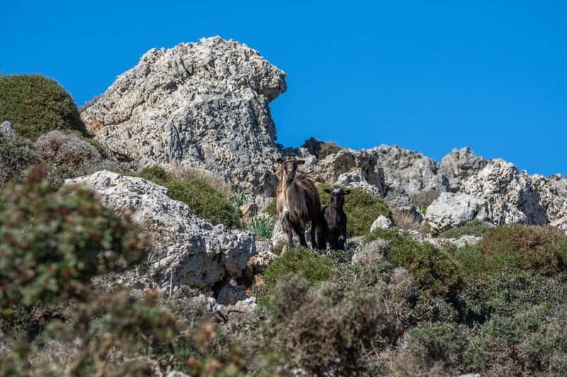Chania: Private Jeep Safari to Balos, Falassarna & Elafonisi - What We Love About the Experience