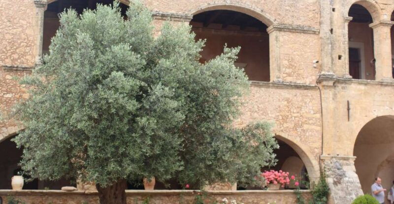 chania-private-olive-oil-tour-oil-tasting-villages-tour
