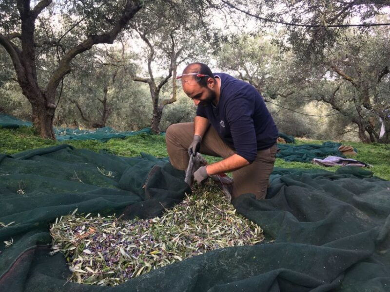 chania-private-olive-oil-tour-oil-tasting-villages-tour