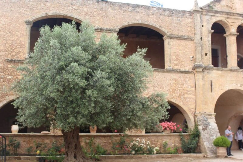 chania-private-olive-oil-tour-oil-tasting-villages-tour
