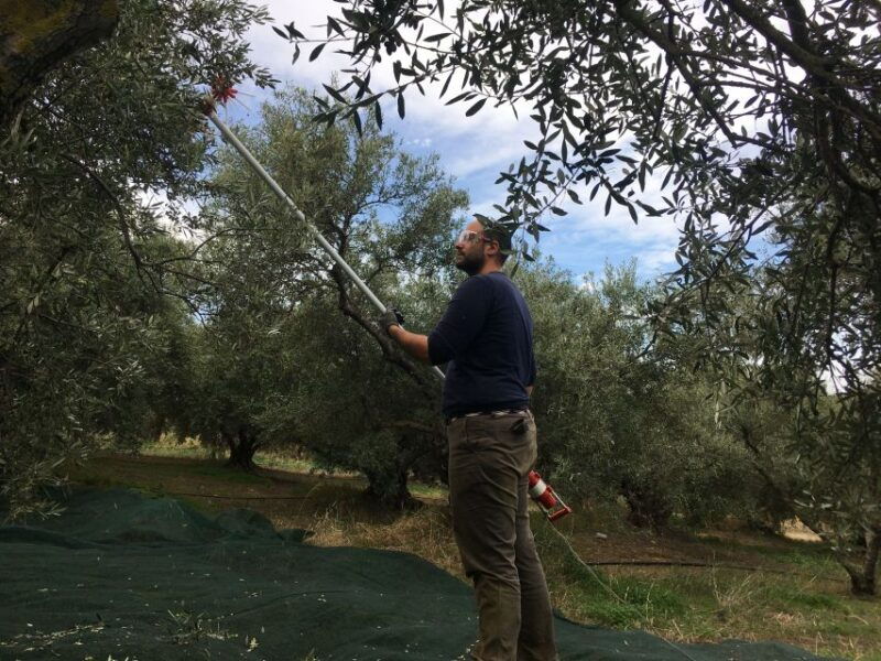 chania-private-olive-oil-tour-oil-tasting-villages-tour