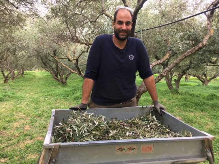 chania-private-olive-oil-tour-oil-tasting-villages-tour