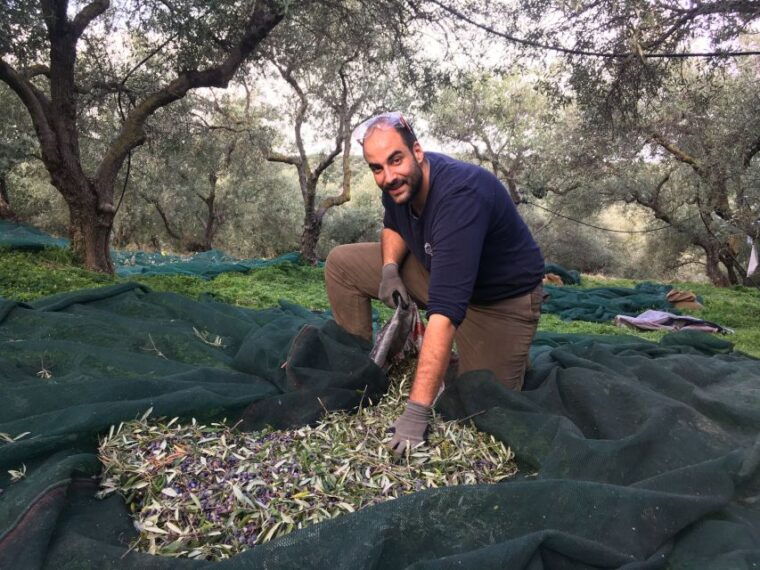 chania-private-olive-oil-tour-oil-tasting-villages-tour