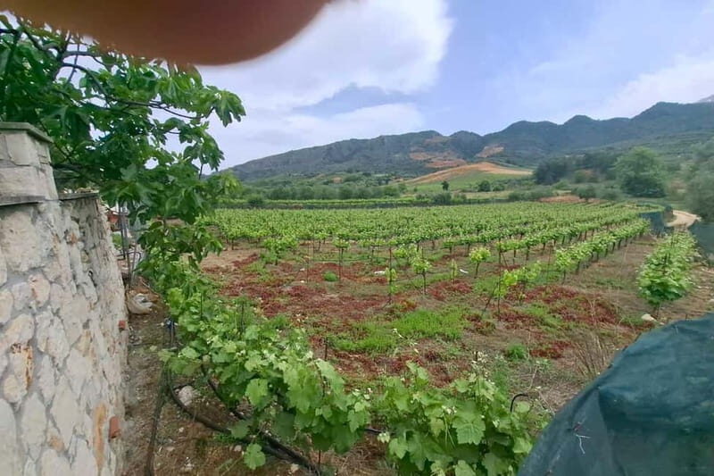 Chania: Private Tour to Therisso Gorge Village &Local Winery - Practical Details