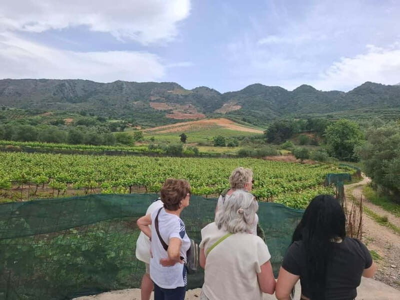 Chania: Private Tour to Therisso Gorge Village &Local Winery - Final Thoughts