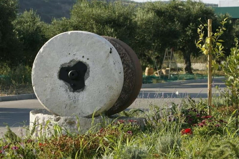 Chania: Pure Cretan Olive Oil, Wine, & Beer Experience - Key Points  