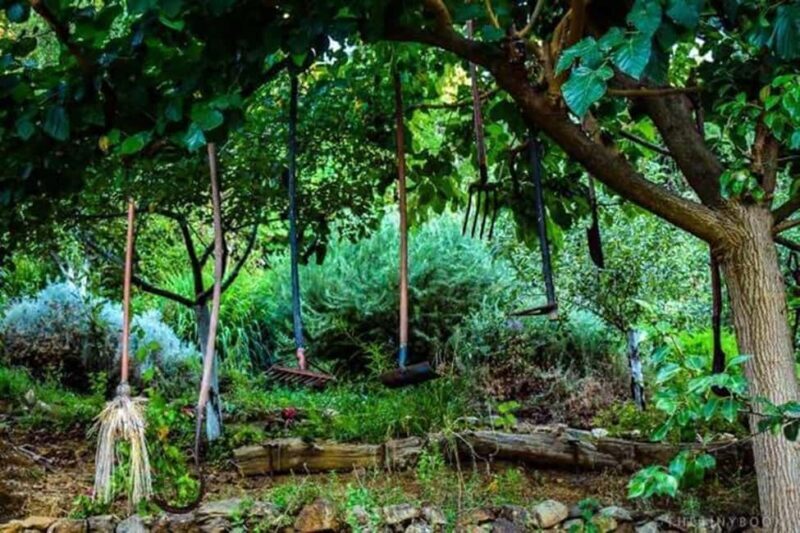 Chania Safari & Botanical Garden  Nature & Aromas Tour - The Itinerary: A Day of Adventure and Tranquility