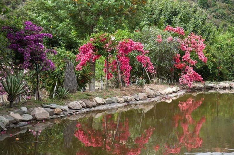 Chania Safari & Botanical Garden  Nature & Aromas Tour - Practical Details and Considerations