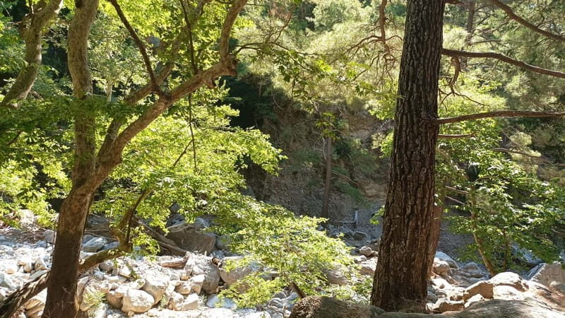 Chania: Samaria Gorge Private Transfer - Exploring the Itinerary: What to Expect from Start to Finish