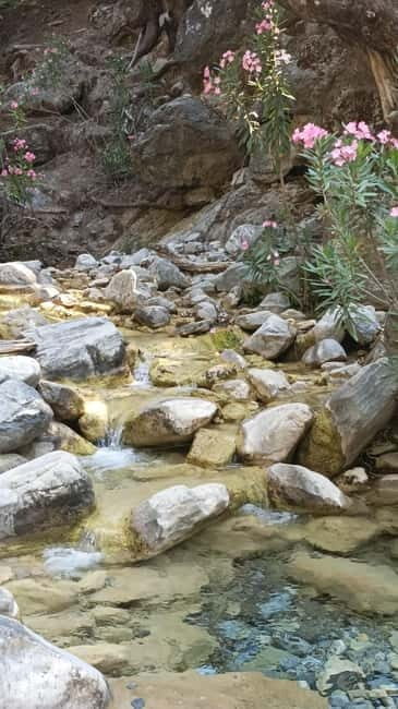 Chania: Samaria Gorge Private Transfer - Final Thoughts