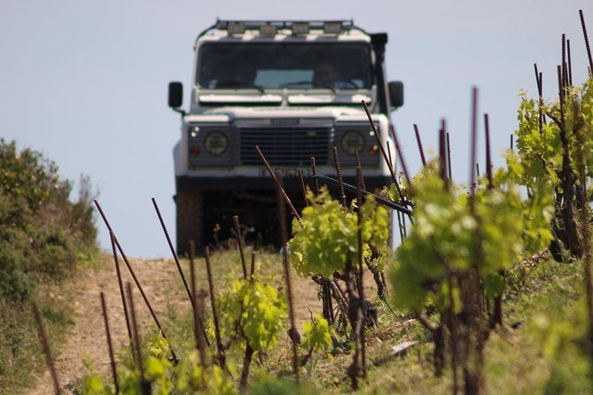 chania-shore-excursion-off-road-vineyard-and-winery-tour-half-day-2
