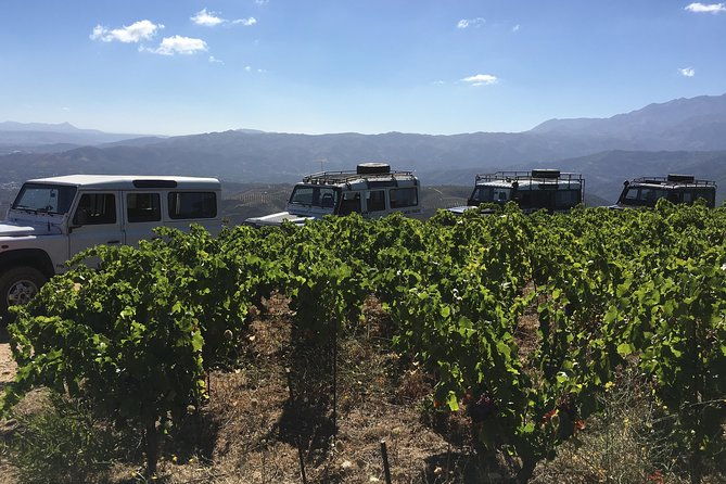 chania-shore-excursion-off-road-vineyard-and-winery-tour-half-day