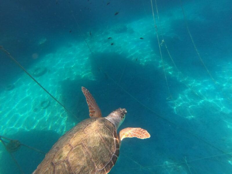 chania-stand-up-paddleboard-small-group-tour