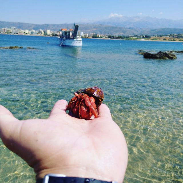 chania-town-glass-bottom-boat-cruise-to-thodorou-lazareta