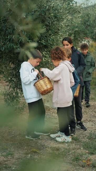 Chania Treasure Hunt : In olive Mill - A Closer Look at the Tour Experience