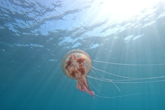 chania-try-scuba-2-shore-divesreceive-certification