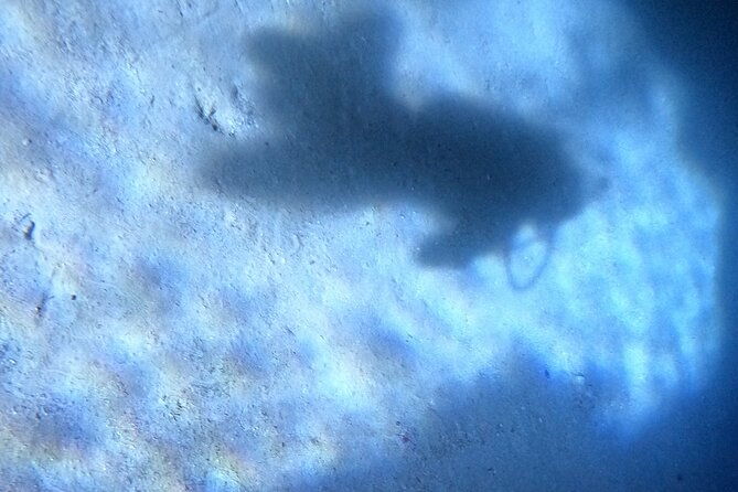 chania-try-scuba-2-shore-divesreceive-certification