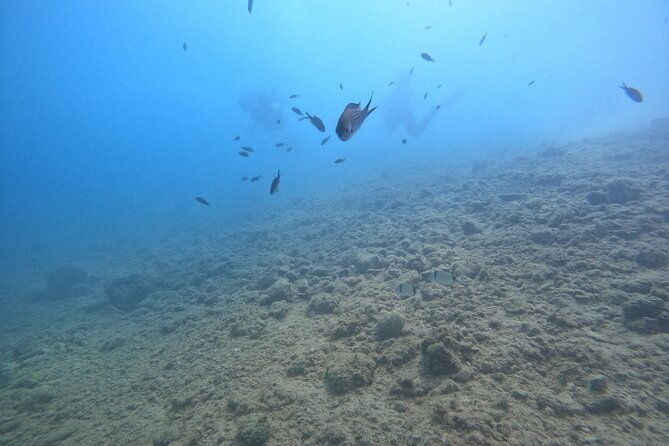 chania-try-scuba-diving-for-beginners