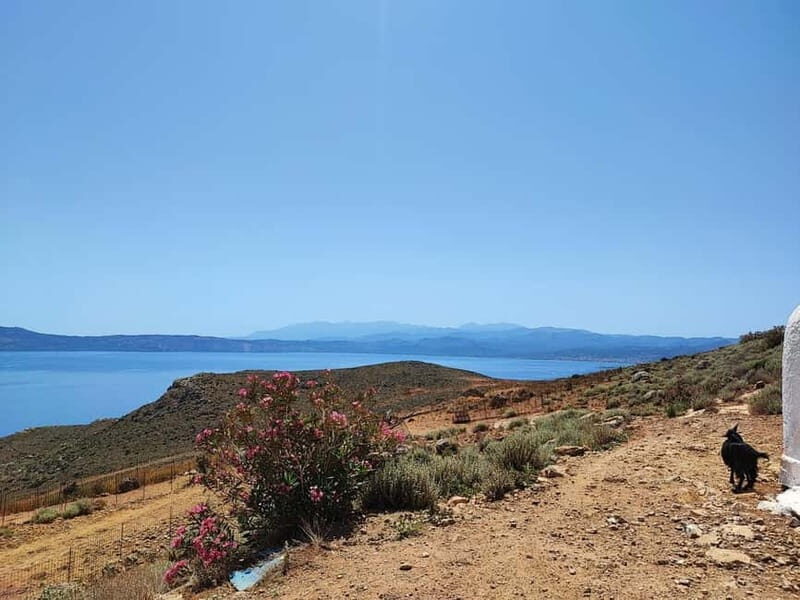 Chania:Balos&Falassarna Private Jeep Safari + Lunch&Loungers - Final Thoughts