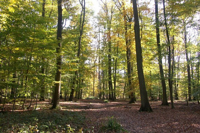 chantilly-by-bike-or-chantilly-with-electric-bike