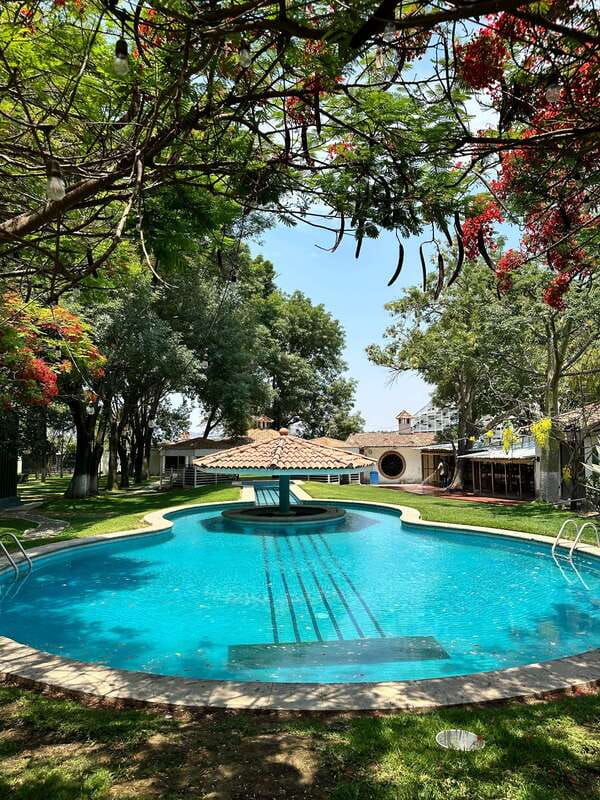 chapala-and-ajijic-tour-from-guadalajara-with-3-potrillos