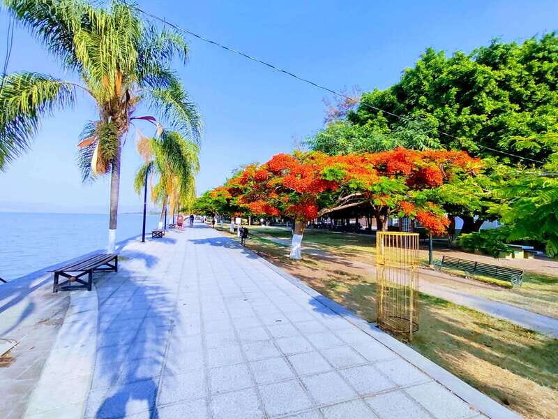 Chapala: Vicente Fdez., Mexicanicos, Ajijic y Tlaquepaque - A Deep Dive into the Lake Chapala Private Tour