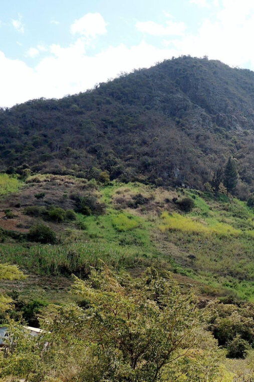 chaparri-ecological-reserve-nature-and-conservation