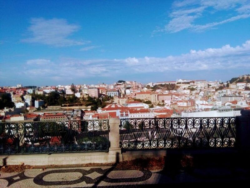 chaparrus-tours_lisbon2-hour-sightseeing-tour-by-tuktuk