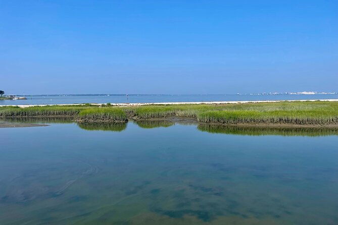 charleston-bird-watching-tour