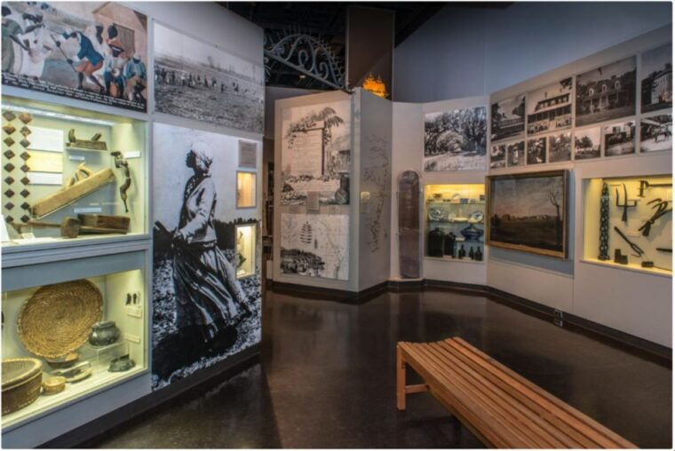 charleston-city-tour-with-charleston-museum-entry-combo