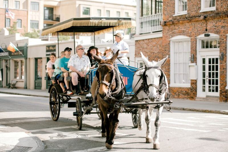 Charleston: Downtown Horse-Drawn Carriage Tour - Key Points