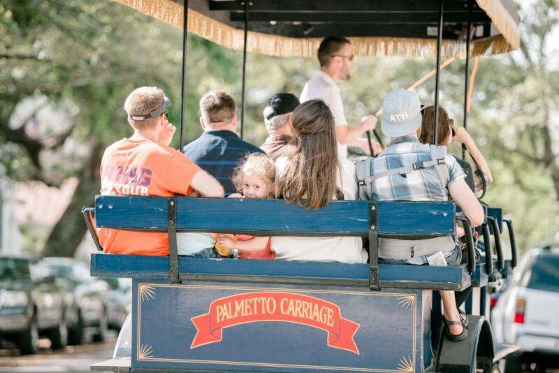 Charleston: Downtown Horse-Drawn Carriage Tour - The Experience: What You Can Expect