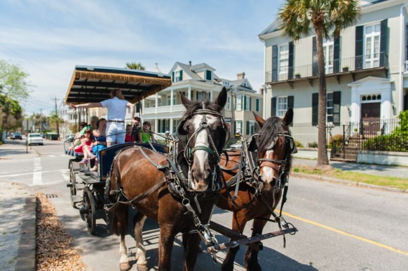 Charleston: Downtown Horse-Drawn Carriage Tour - Pricing & Value