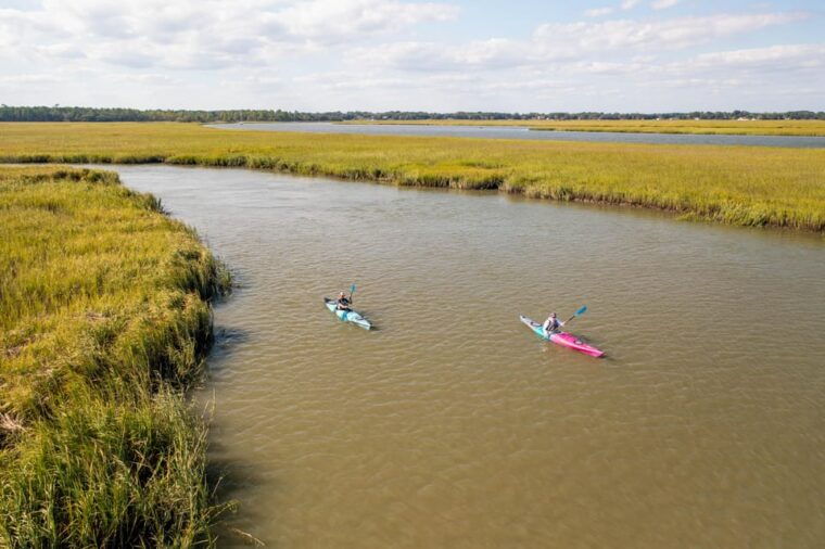 charleston-folly-beach-kayak-dolphin-safari