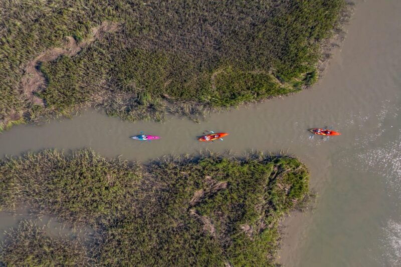 charleston-folly-river-kayak-tour