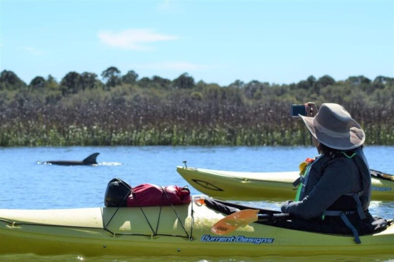 charleston-guided-2hr-kayak-tour-with-a-tandem-or-single