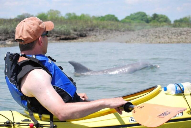 charleston-guided-2hr-kayak-tour-with-a-tandem-or-single