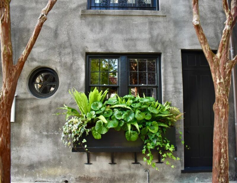 Charleston: Hidden Alleys and Historic Sites Walking Tour - Who Will Love This Tour