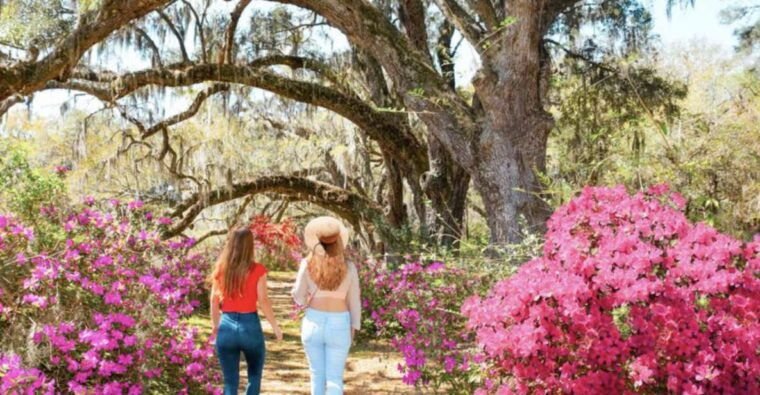 charleston-historic-city-tour-magnolia-plantation-combo