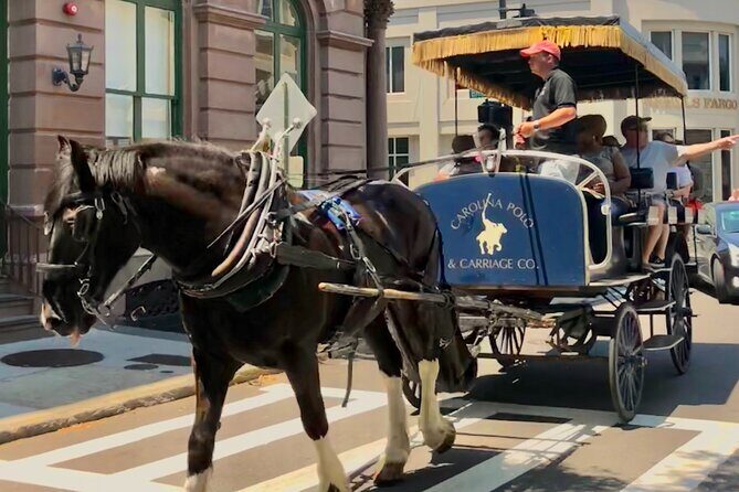 Charleston Horse & Carriage Historic Sightseeing Tour - Is It Worth the Price?